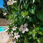 Anastasia Villa *